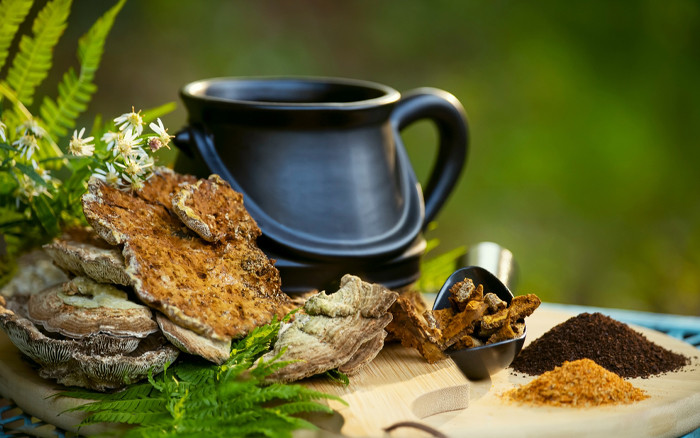 Pilzkaffee – was steckt drin?